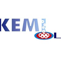 Danish Logo